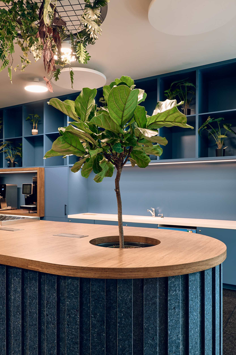 Interieur architect : JCAU (Jo Coenen Architects & Urbanists)Fotografie : PhotosbyBo Interieur architect : JCAU (Jo Coenen Architects & Urbanists)Fotografie : PhotosbyBo